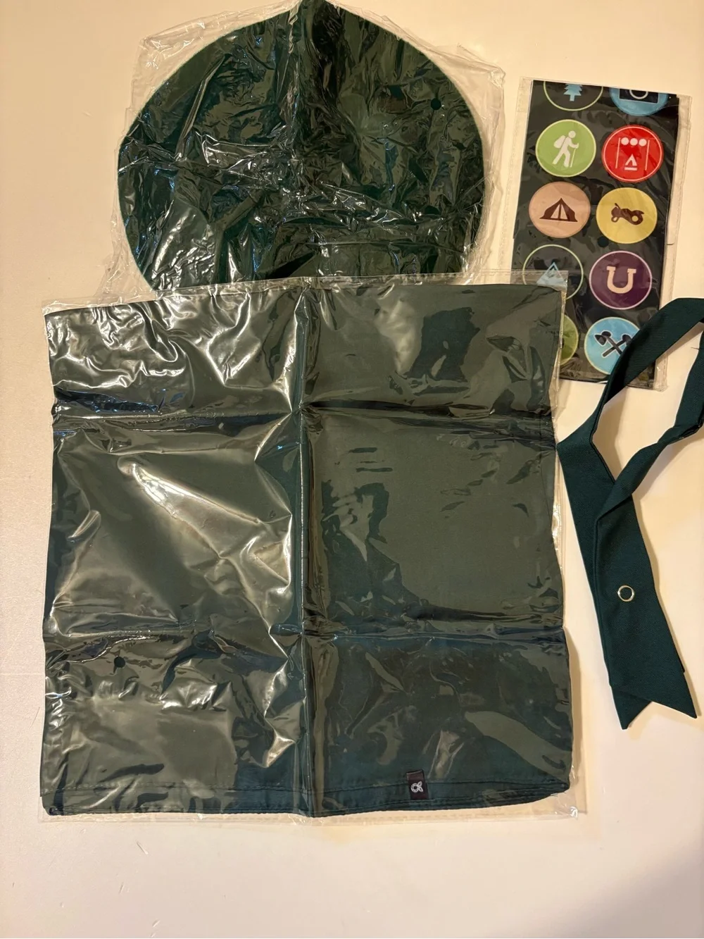 Halloween scout costume